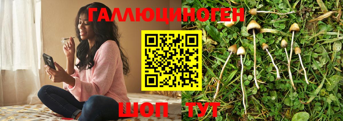 купить  сайты  Вход с VPN  Донецк  Псилоцибиновые грибы мицелий 